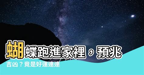 蝴蝶進家裡|今日蝴蝶入宅，風水大師解析吉凶